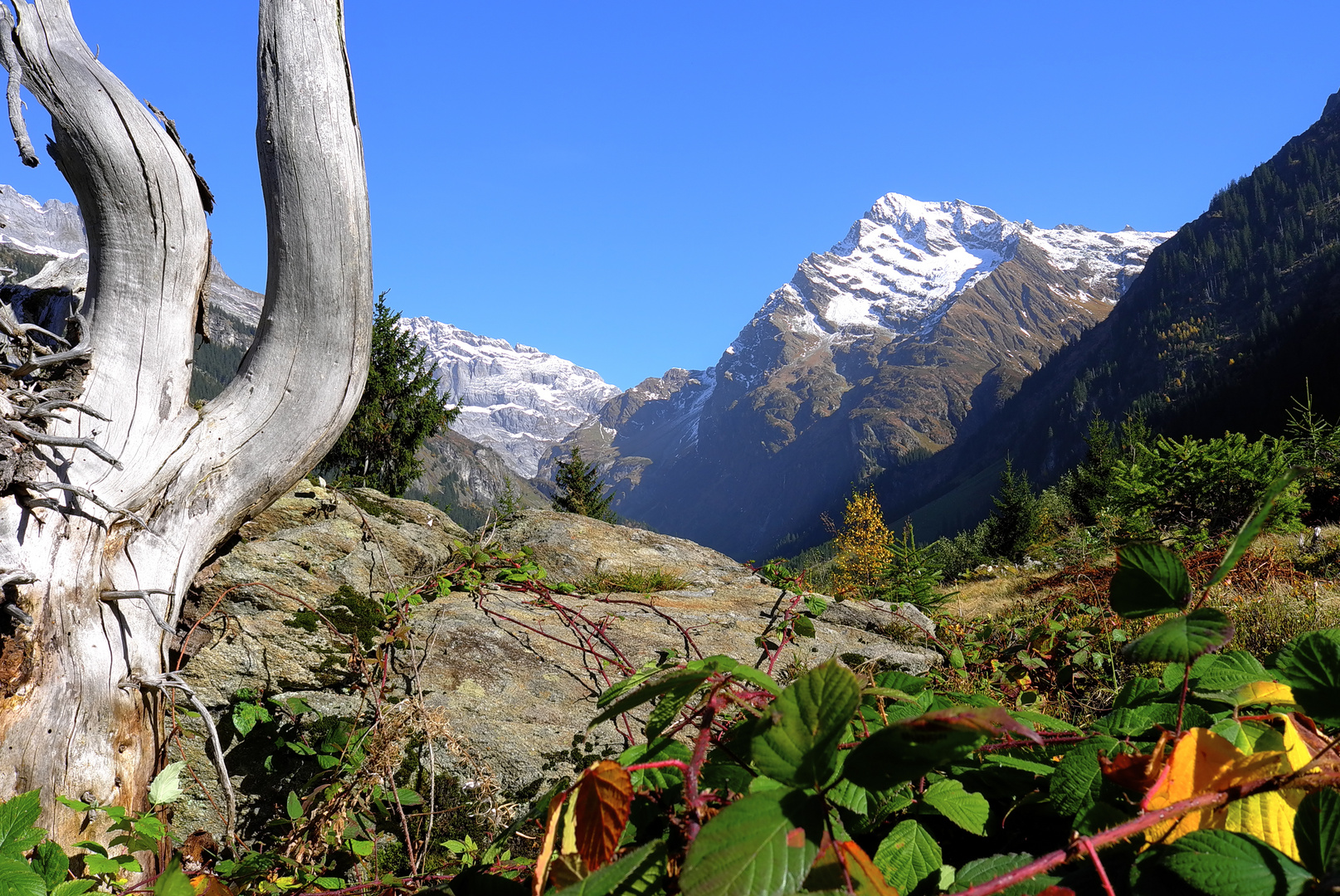 Griessernalp mit Düssi, Maderanertal