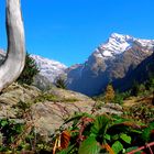 Griessernalp mit Düssi, Maderanertal