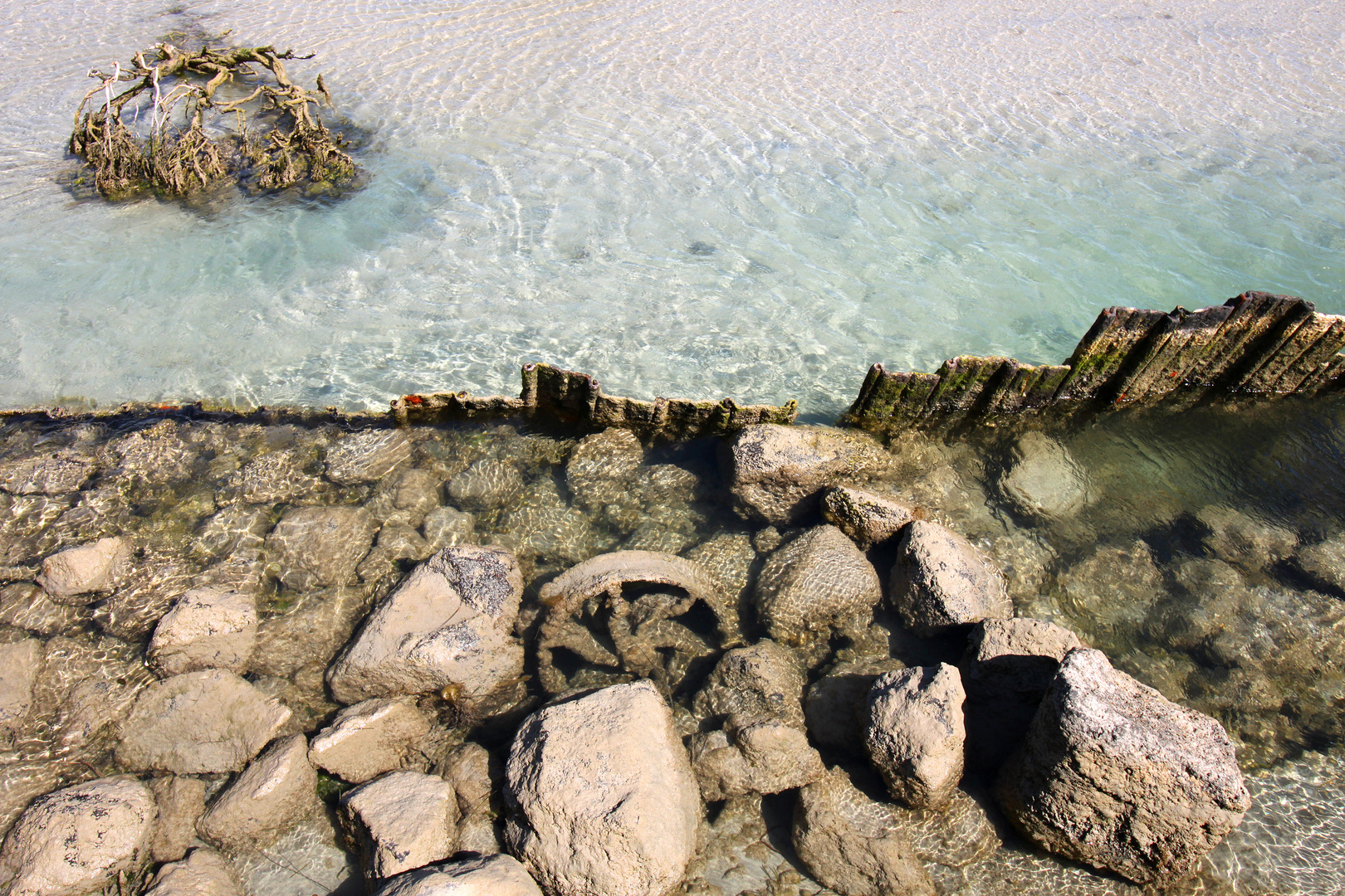 Griffiths Island - Victoria, Australia