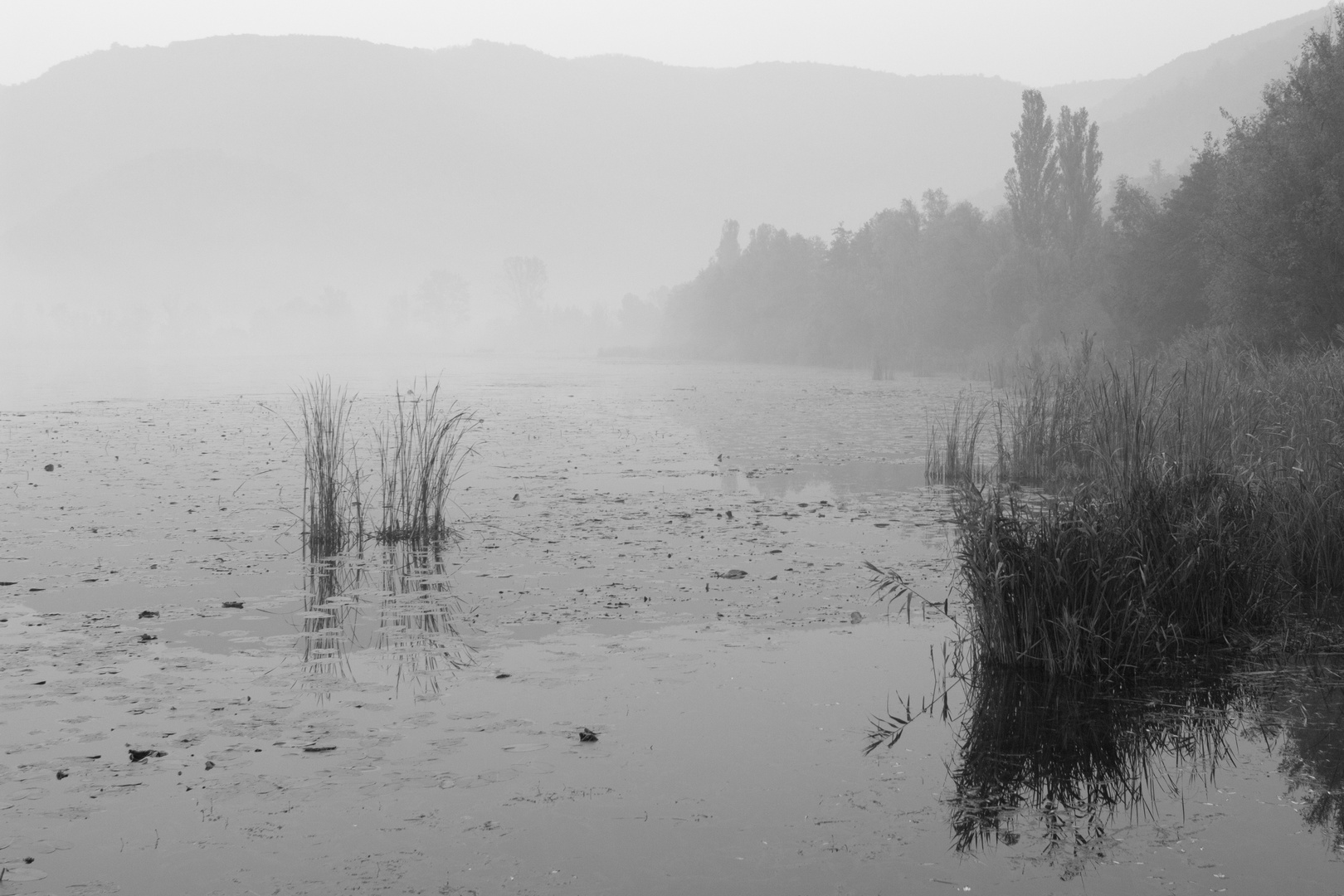 Grigio nebbia