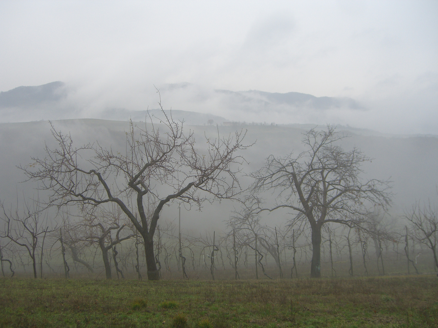 Grigiore autunnale