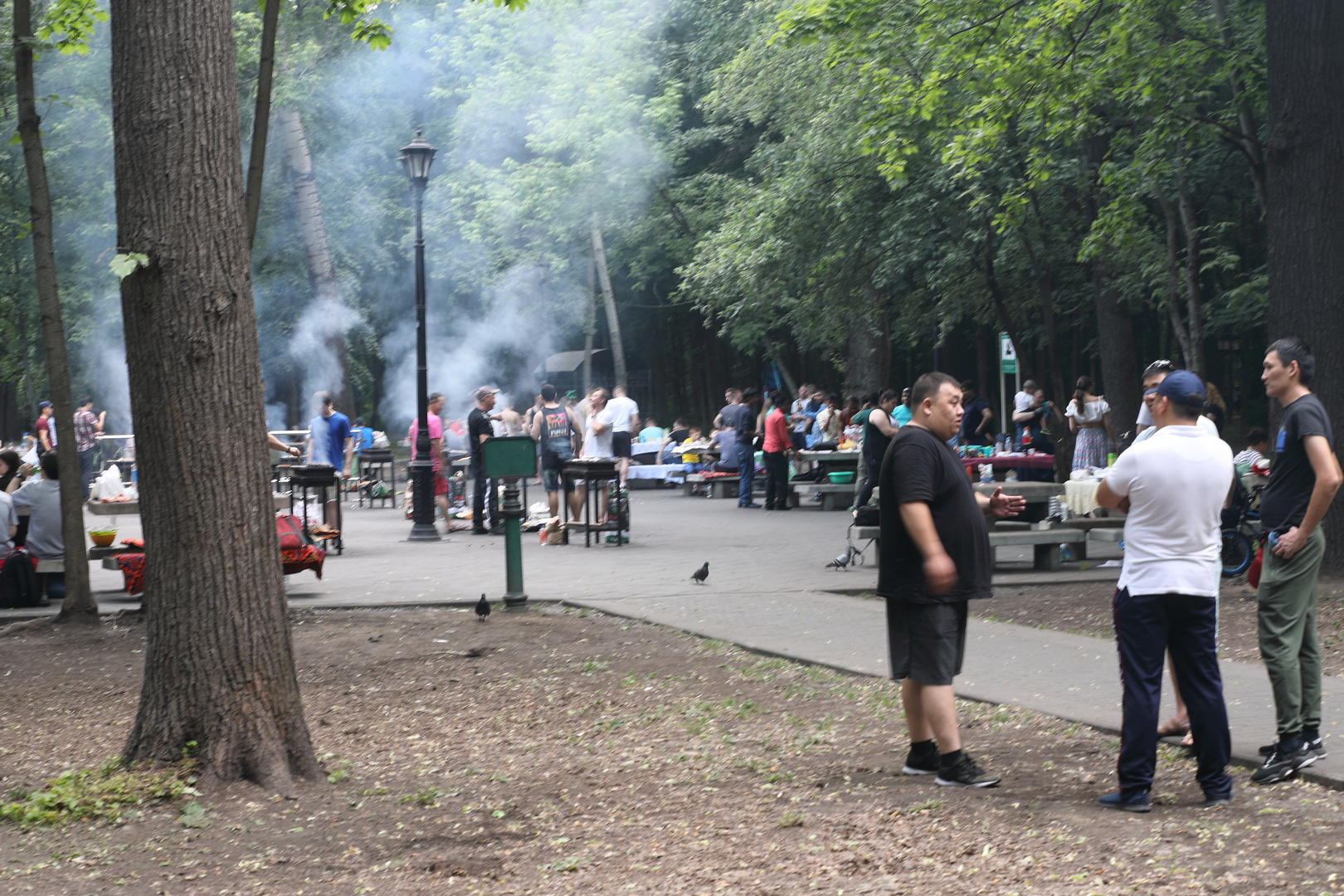 Grillen im Ostankino Park (Moskau)