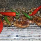 Grillen macht scharf