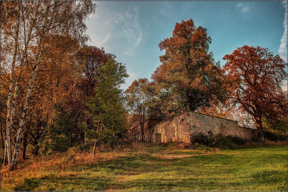 Grillenburg -Tharandter Wald