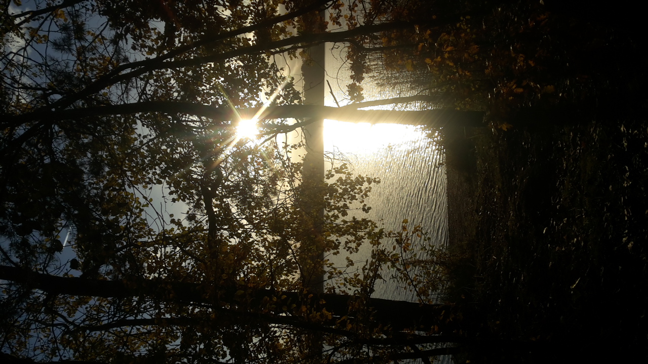 Grillensee bei Naunhof/Ammelshain