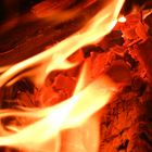 grillfeuer_im_detail