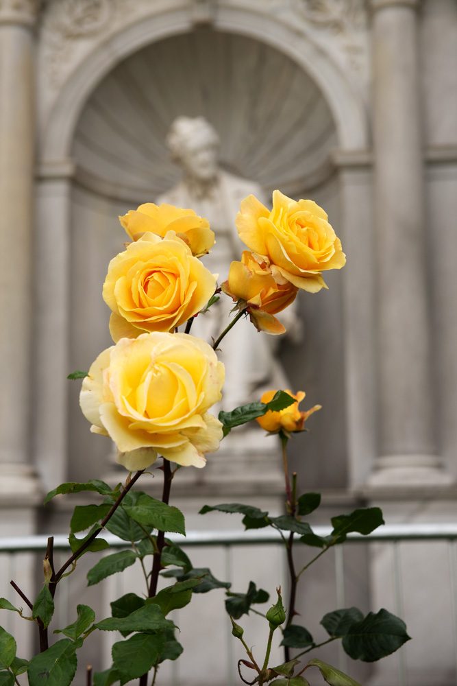 Grillparzer mit Rosen