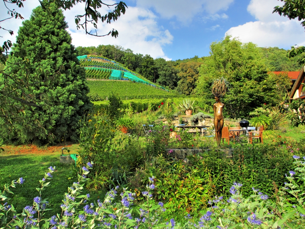 Grillplatz am Weinberg