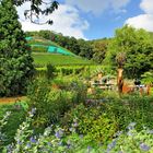 Grillplatz am Weinberg