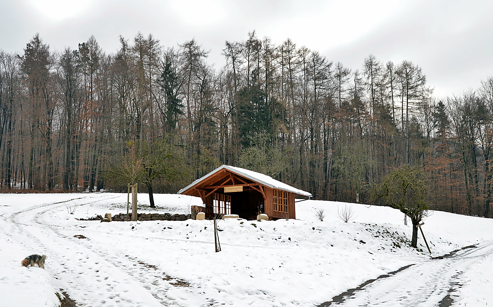 Grillplatz "Hasenberghütte" Riedlingen