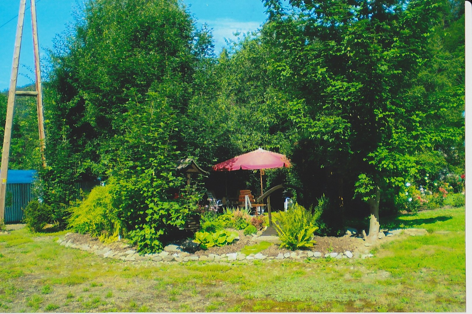 Grillplatz im Grünen Harz