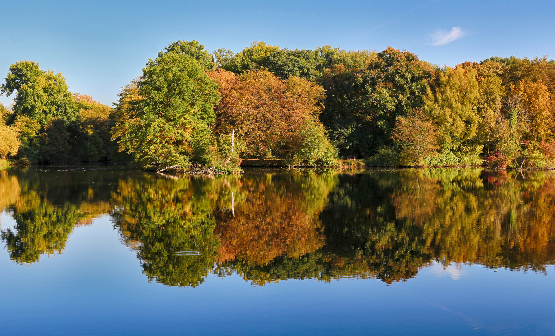 Grillscher Altarm an der Nidda bei Frankfurt Nied