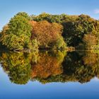 Grillscher Altarm an der Nidda bei Frankfurt Nied