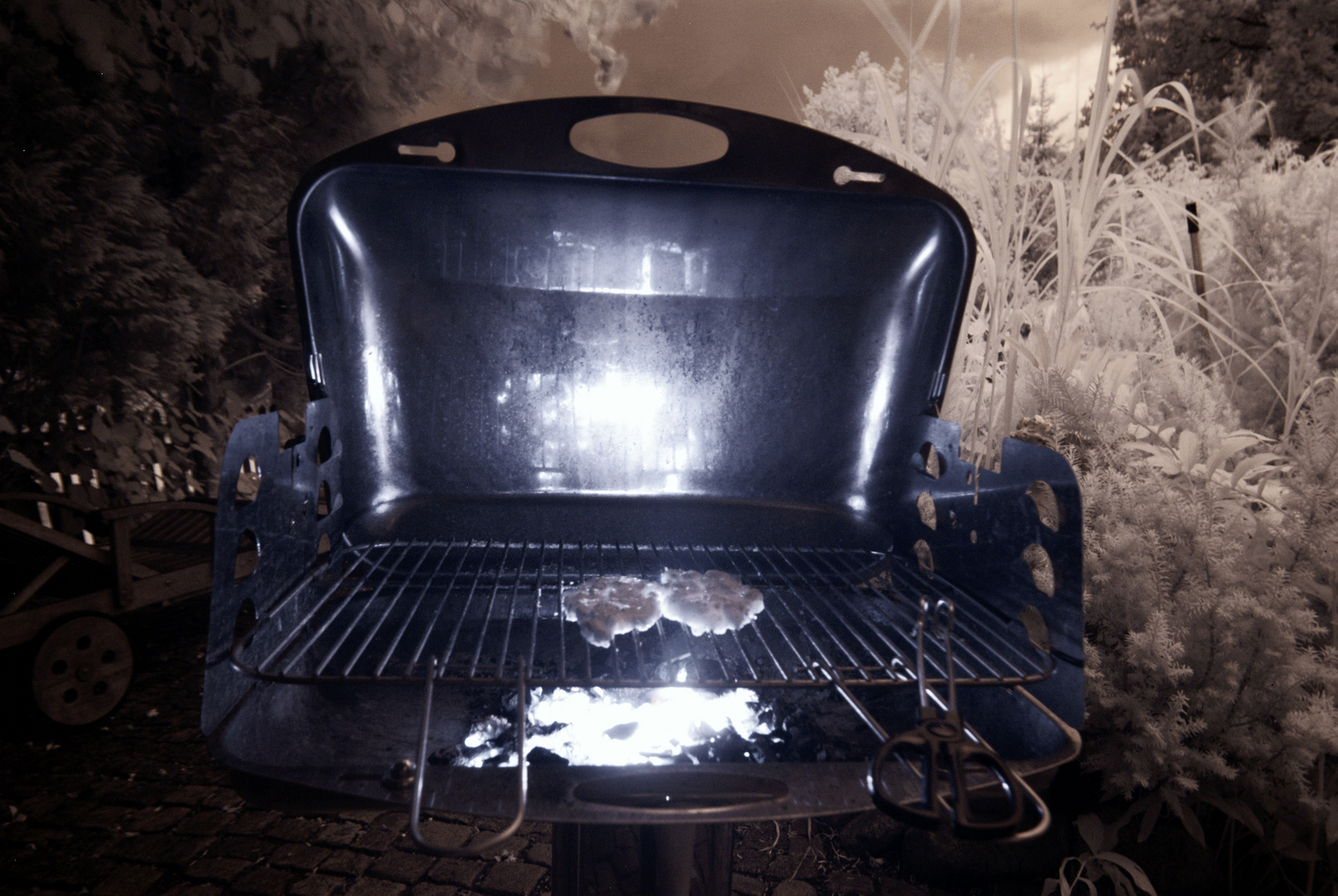 Grillung IR