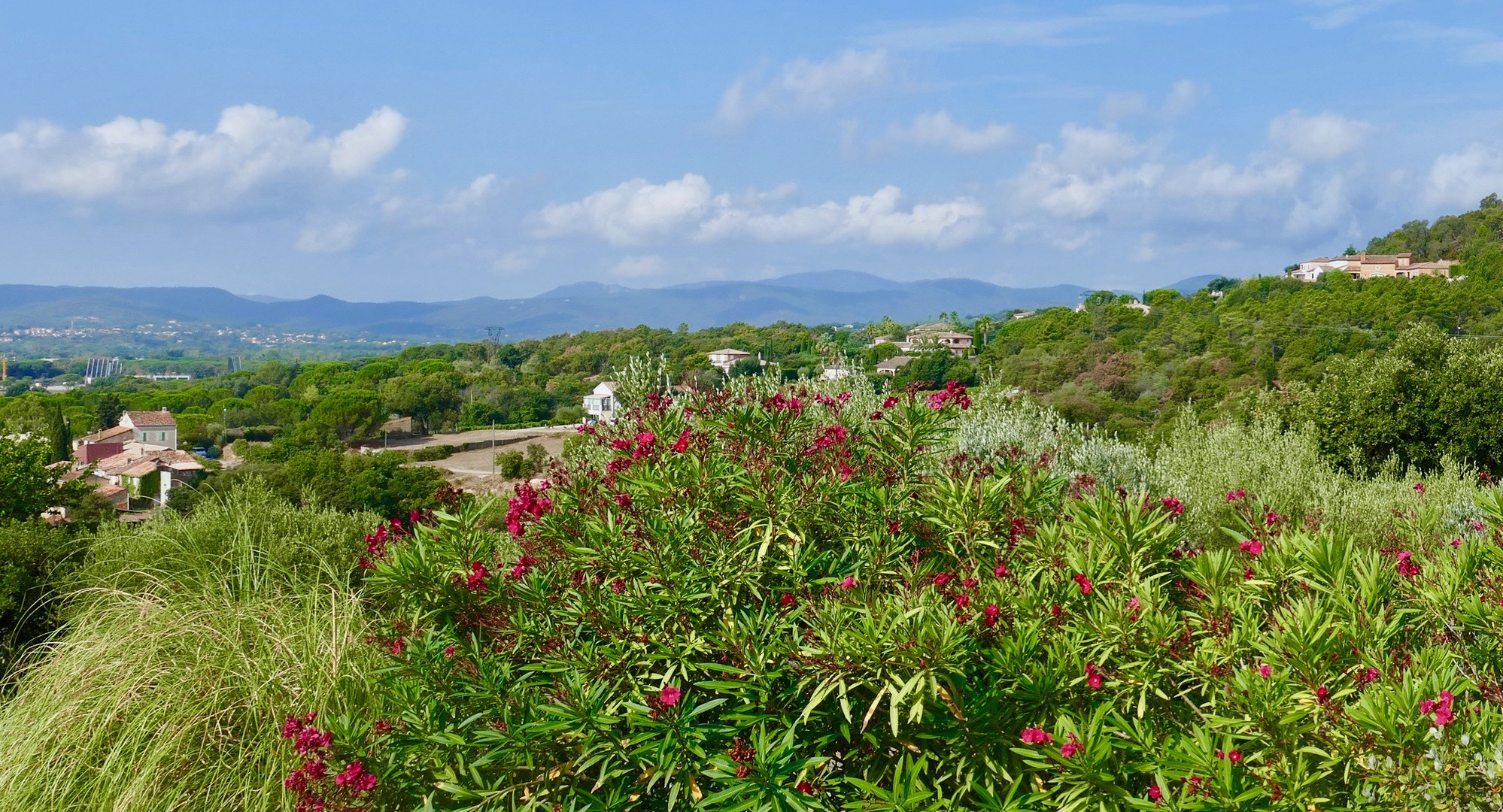 Grimaud