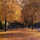 Grimm-Allee im goldenen Herbst