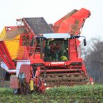 Grimme Maxtron 620