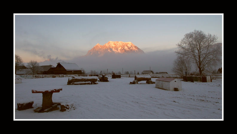 Grimming im Morgennebel