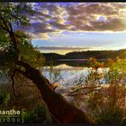 Grimnitzsee - Abendstille