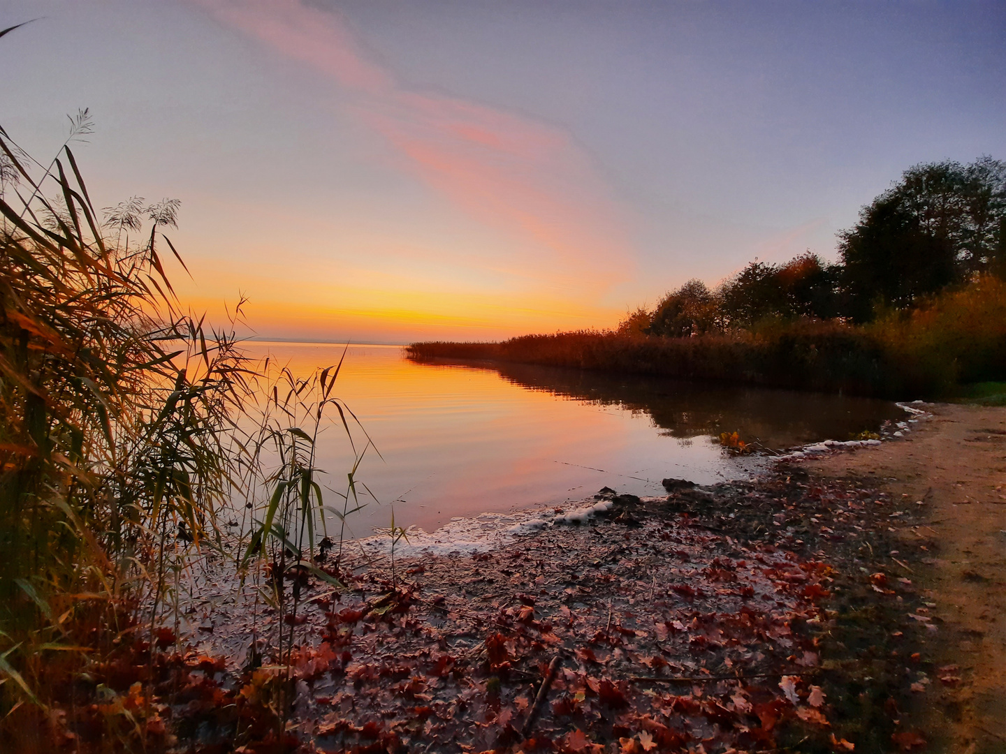 Grimnitzsee am Abend im Herbst