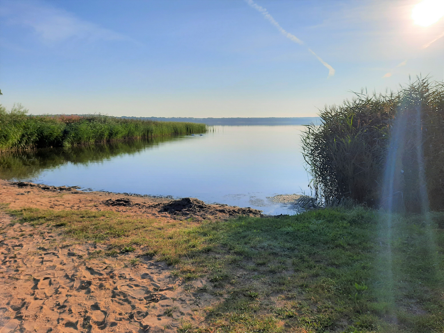 Grimnitzsee im Sommer