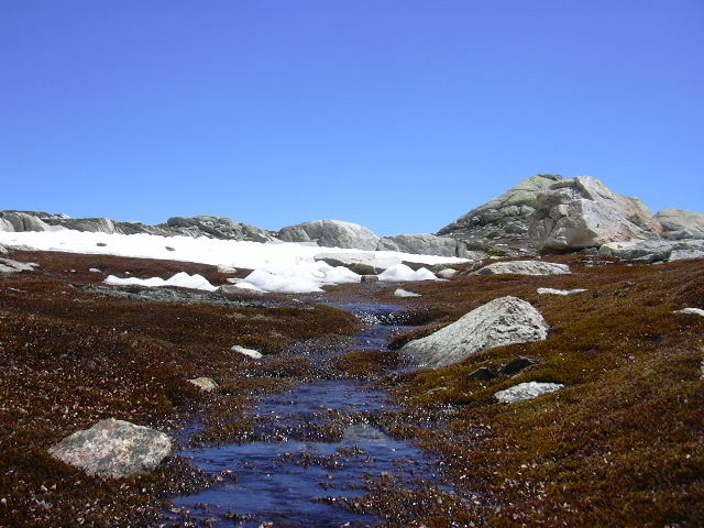 Grimsel