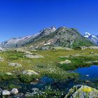 Grimselpass