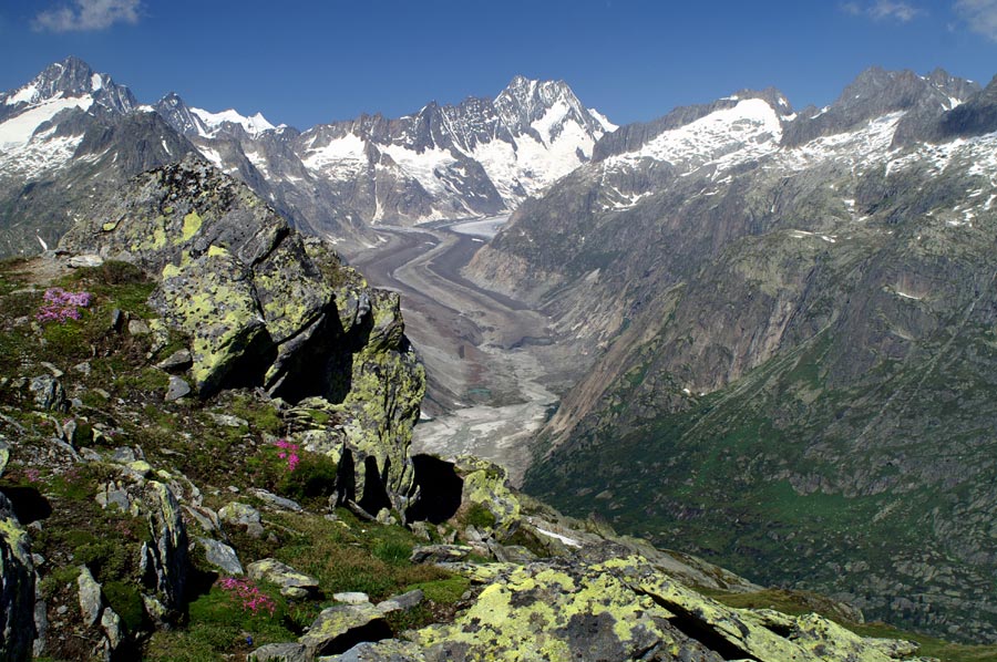 Grimselpass