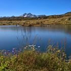 Grimselpass / Handyaufnahme