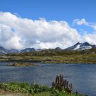 Grimselpass Schweiz