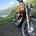 Grimselpass Sommer 2010