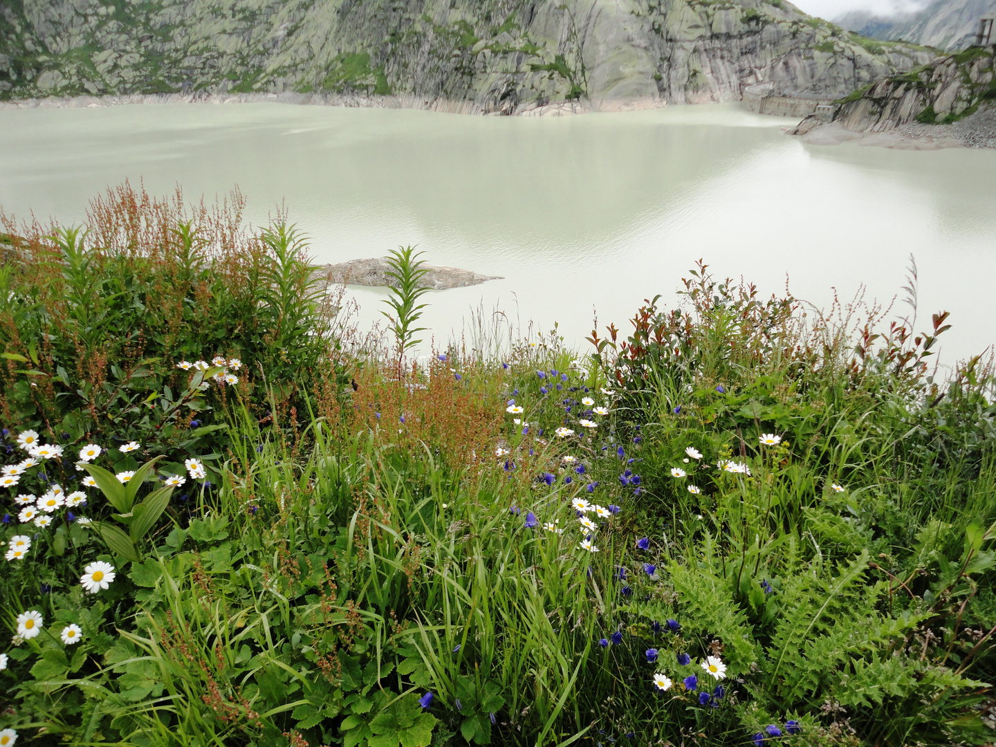 Grimselsee 3