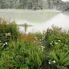 Grimselsee 3