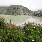 Grimselsee 4