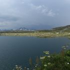 Grimselsee_9939