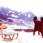 Grindelwald 1989