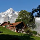 Grindelwald