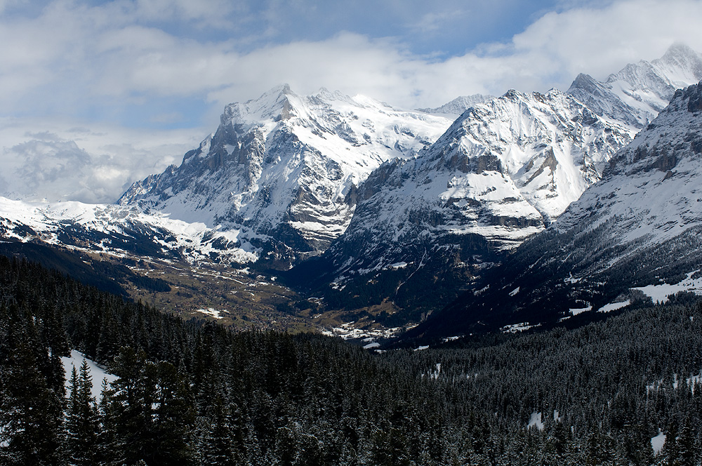 grindelwald