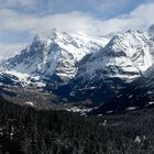 grindelwald