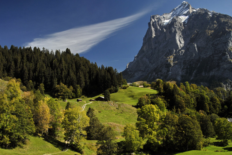 Grindelwald area