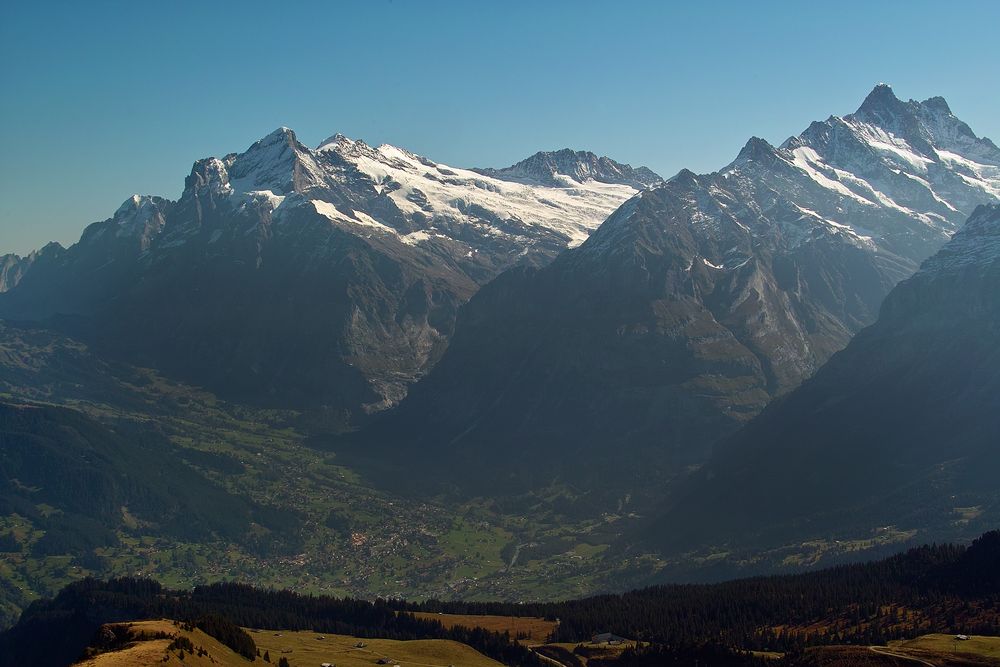 Grindelwald (Berner Oberland)