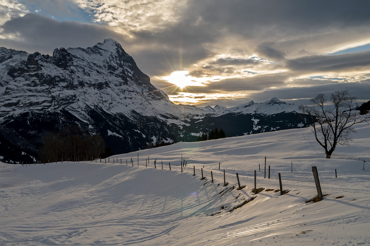 Grindelwald