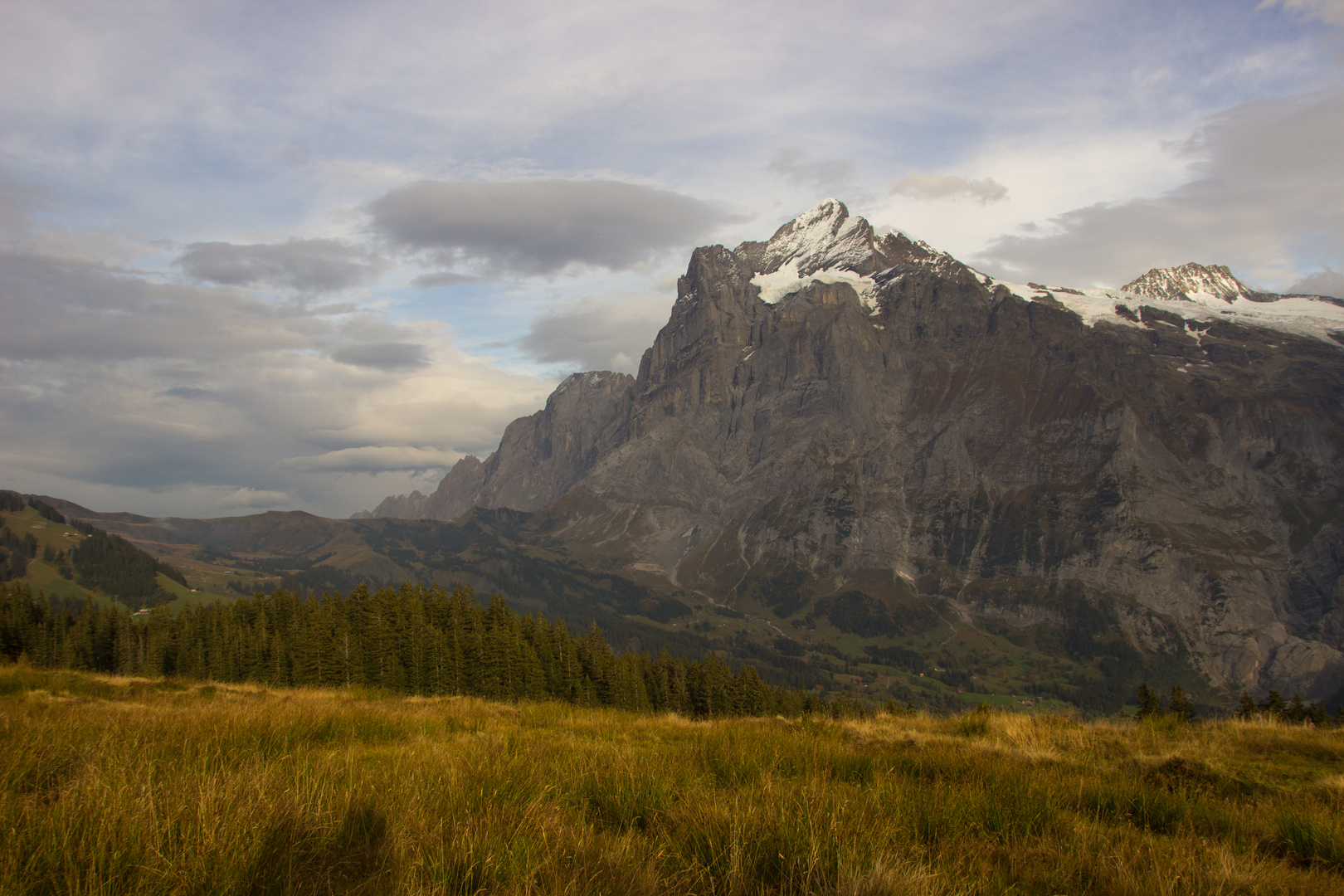 Grindelwald (CH)