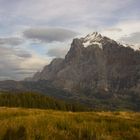 Grindelwald (CH)