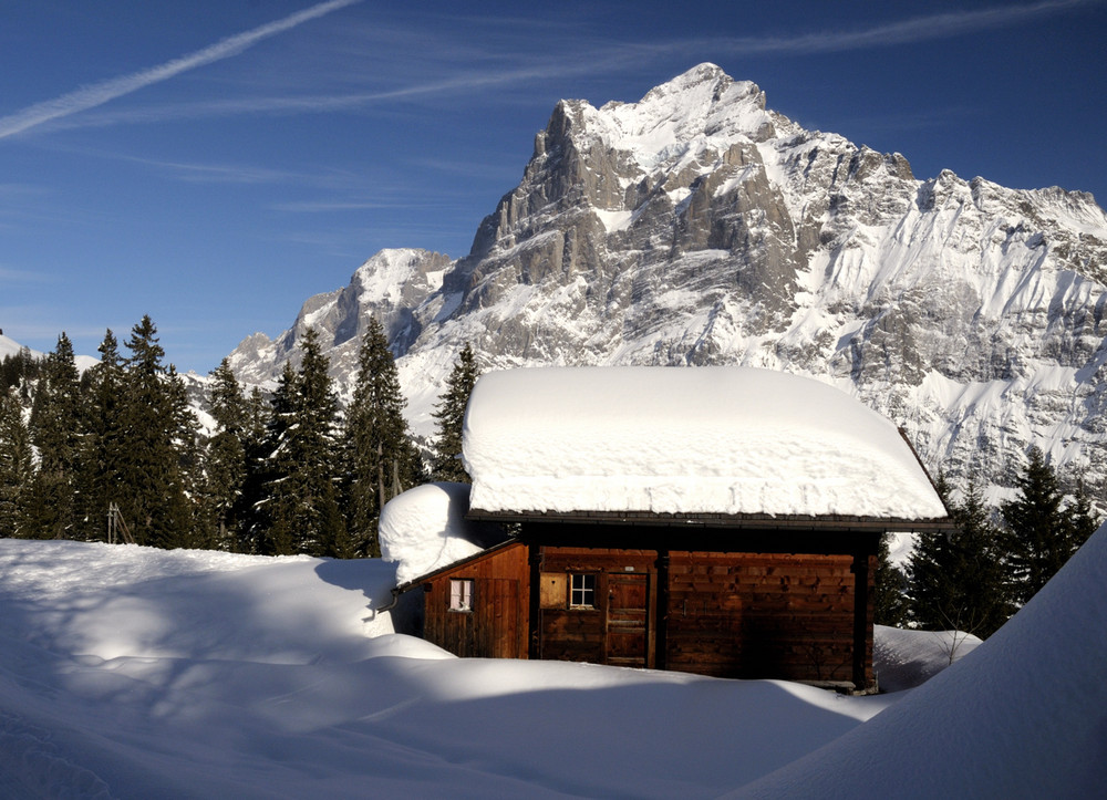 Grindelwald