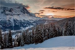 Grindelwald