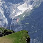 Grindelwald-First - Deltasegler