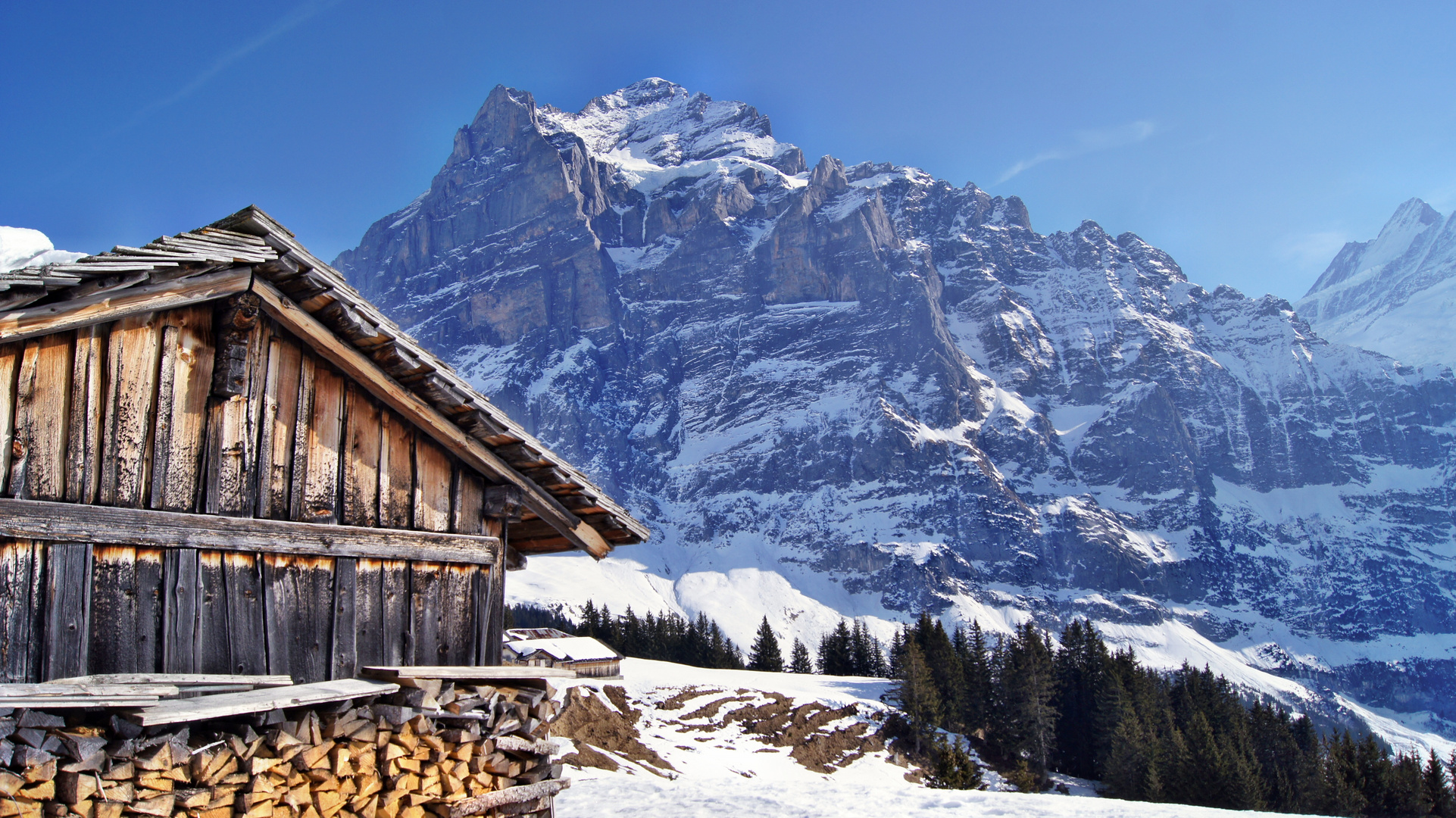 Grindelwald First, Wetterhorn