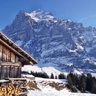 Grindelwald First, Wetterhorn