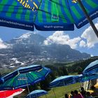 Grindelwald-Grund